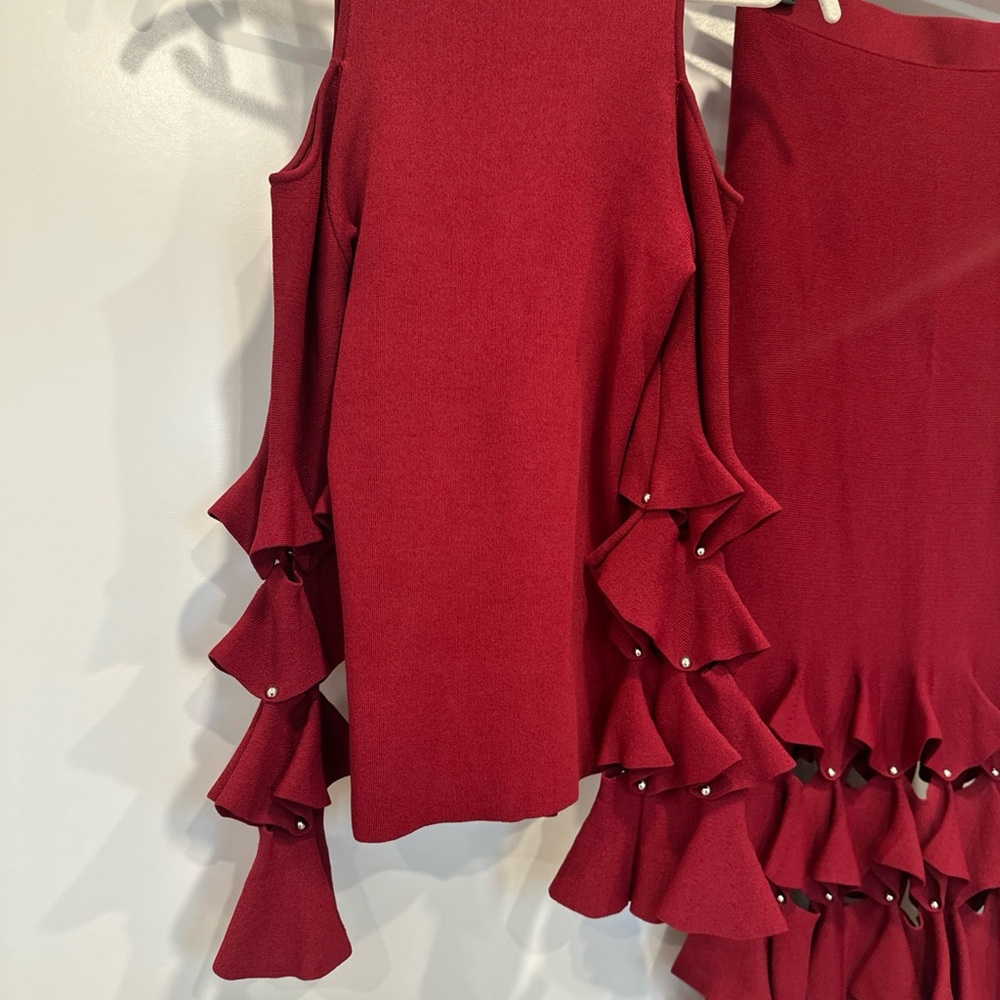 Jonathan Simkhai Red Ruffled Skirt Set - Picture 11 of 12